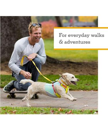 Ruffwear Hi & Light Dog Harness - Adjustable No Pull Harness for Small to XL Dogs | Lightweight Durable Blue Dusk (S 56-69cm) - Buy Online on GoSupps.com