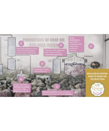 Rose Oil Eye Contour Cream + Hyaluronic Acid - Natural Cream with 7 Active Ingredients for Deep Nourishment that Smoothens & Regenerates the Skin - Buy Online on GoSupps.com