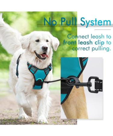 Rabbitgoo Medium Dog Harness - No Pull Adjustable Control Harness for Large Dogs Breathable & Safe Blue-Green (1 Pack) - Buy Online on GoSupps.com