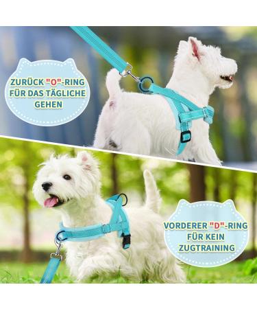 Eyein No-Pull Dog Harness with Leash | Padded & Adjustable for All Breeds | Reflective Design | Soft Dishes for Puppies Small & Large Dogs | Blue-Green XXS - Buy Online on GoSupps.com