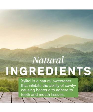 Nature's Sunshine XyliBrite Cool Mint Toothpaste 3.5 oz | Fluoride-Free with Xylitol & Baking Soda for Whitening & Oral Health - Buy Online on GoSupps.com