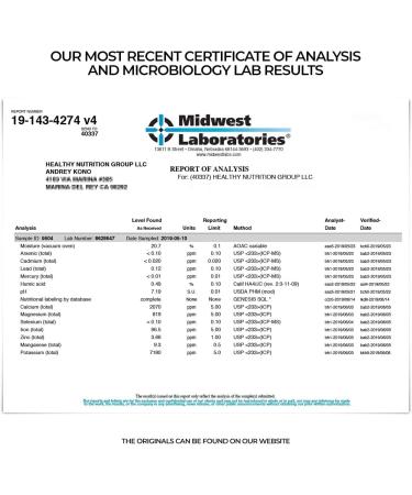 Shilajit Honey Sticks - Gold Grade Shilajit Resin & Raw Honey Blend - 7 Sticks for Energy & Immune Support - Buy Online on GoSupps.com