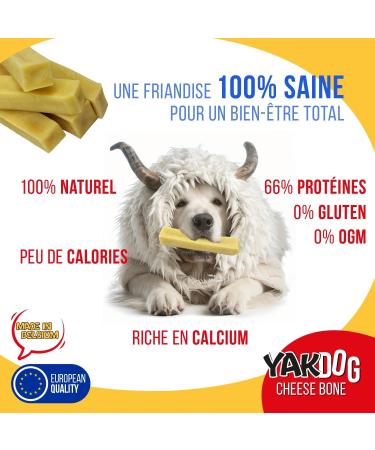 YAKDOG - Cheese Sticks for Dogs - Long Lasting Chew Treats - 100% Natural - Traditional Himalayan - Made in Belgium - Size XL - Buy Online on GoSupps.com