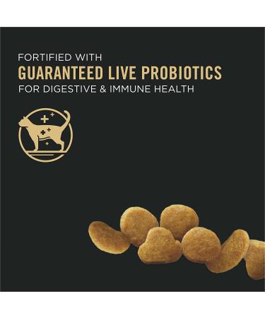 Purina Pro Plan High Protein Dry Kitten Food - Chicken & Rice 7 lb Bag - Buy Online on GoSupps.com
