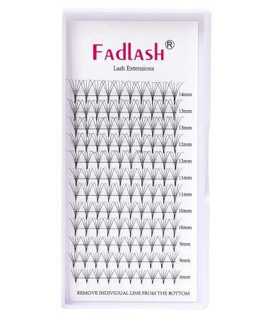 5D D Curl Premade Fan Eyelash Extensions Mixed Tray - 8-14mm, Pro Point Volume Lash Supplies - Buy Online on GoSupps.com