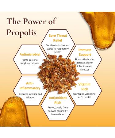 Propolis Throat Spray - Naturals Pure Bee Immune Support Supplement for Sore Throat Discomfort Honey Flavor Easy-to-Use Spray for Adults & Kids 1 fl. oz (30ml) Yellow/Orange 0.95 Fl Oz (Pack of 1) - Buy Online on GoSupps.com