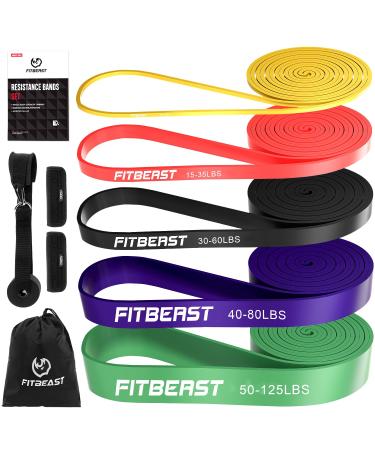 FitBeast Pull Up Bands Set 5 Different Levels Resistance Band Pull Up for Calisthenics CrossFit Powerlifting Muscle Toning Yoga Stretch Mobility Pull Up Assistance Bands Multicolor 5-125 LBS