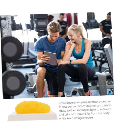 Gatuida Anatomical Fat 3pcs Fat Model Models Demonstration Model Human Fat Anatomical Body Fat Replica Human Body Module - Buy Online on GoSupps.com