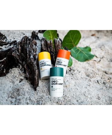 Barstool Sports Men's Aluminum-Free Deodorant - Coastal Lavender and Sea Salt Scent | Natural Odor Protection with Essential Oils | Gentle on Sensitive Skin - Buy Online on GoSupps.com