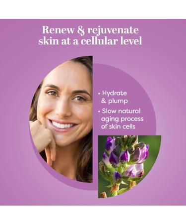 TruSkin Longevity Moisturizing Cream - Anti-Aging Face Moisturizer with Bakuchiol & Snow Algae - Healthy Aging Skin Care - 2 fl oz - International Shipping Available - Buy Online on GoSupps.com