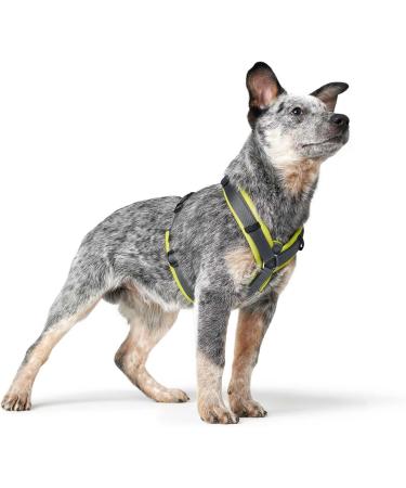 HUNTER Harness Maldon 34-49/XS Lime/Grey - Premium Dog Harness for Comfort & Style | International Shipping - Buy Online on GoSupps.com