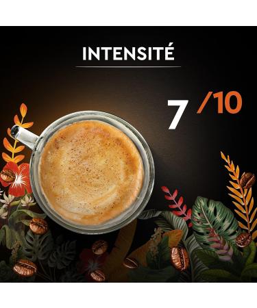 CARTE NOIRE - Caf Grain Carte Noire Secrets de Nature - Catuai Romex - Certifi Rainforest Alliance - Paquet de 6 kg - Buy Online on GoSupps.com