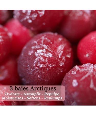 Pol ar Moisturizing Body Milk - Vegan Arctic Berry Cream | Natural Cruelty-Free Skincare | Made in France 200ml - Buy Online on GoSupps.com