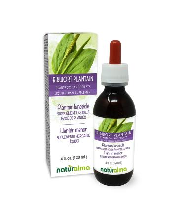Naturalma Ribwort Plantain or Narrowleaft Plantain (Plantago lanceolata) Leaf Alcohol-Free Tincture - 4 fl oz Liquid Extract in Drops - Herbal Supplement - Vegan Alcohol-free 4 Fl Oz (Pack of 1)