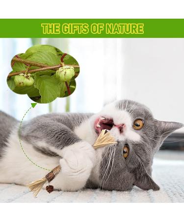 BAWAN Catnip & Silvervine Toys for Cats | Interactive Teething Chew Toys for Indoor Cats | Dental Toy for Aggressive Chewers | 3PCS - Buy Online on GoSupps.com