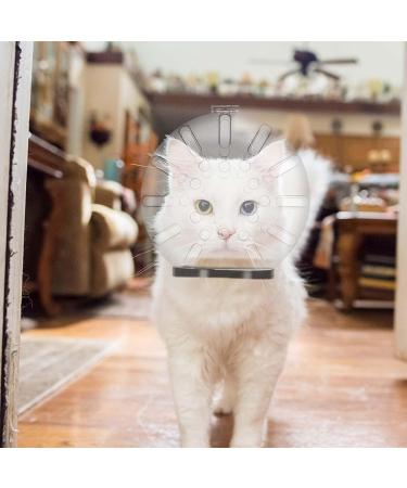 Clarful Breathable Cat Muzzle - Transparent Adjustable Anti-Bite Hood for Fur Care & Protection - Buy Online on GoSupps.com