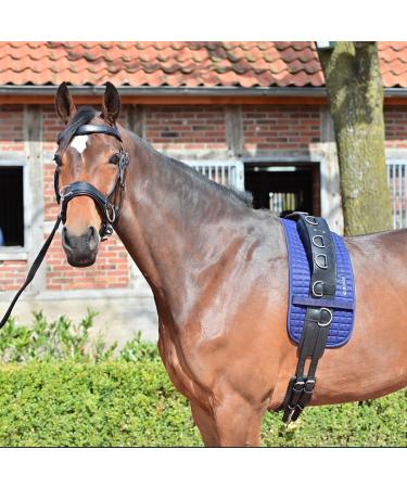 Busse Lunging Belt Pad Classic | Premium Comfort for Equestrian Training | Shop Internationally - Buy Online on GoSupps.com