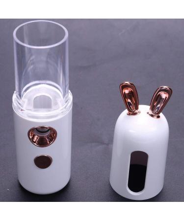 ENERRGECKO Portable Face Bottle Nano Steamer Face Sprayer 30Ml Face Beauty Instruments(White) - Buy Online on GoSupps.com