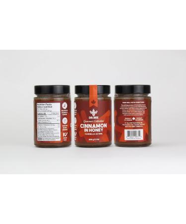 Cinnamon in Honey - Dr. Bee Gourmet Collection Organic Cinnamon Pure Canadian Honey (500g) - Buy Online on GoSupps.com