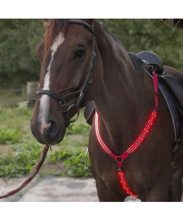 Premium LED Horse Harness | Robust & Comfortable Chest Strap - Best Visibility for Safe Riding - Buy Online on GoSupps.com