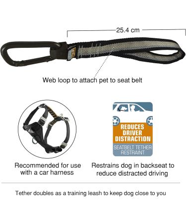 Kurgo Seatbelt Tether - Dog Safety Tether with Carabiner | Easy Installation | Universal Fit | Black/Grey - Buy Online on GoSupps.com