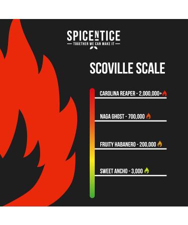 Spicentice Sweet Ancho Chili Powder 55g - Authentic Mexican Chillies | Pack of 1 - Buy Online on GoSupps.com