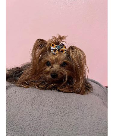 JpGdn 24Pcs/12Pairs Dog Hair Bows with Rubber Band Autumn Sunflower Pattern for Girls Female Cat Rabbit Puppy Poodle Top Knot Elastic Hair Bowknot Grooming Accessories Attachment Sunflower Autumn 24 - Buy Online on GoSupps.com