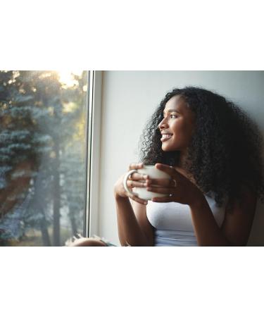 Dalgety Pure Moringa Herbal Infusion Cartons 100% Natural Caffeine Free Tea A Mild Bitter/Sweet Super Tea Packed with Unique Health Benefits (6 Pack) - Buy Online on GoSupps.com