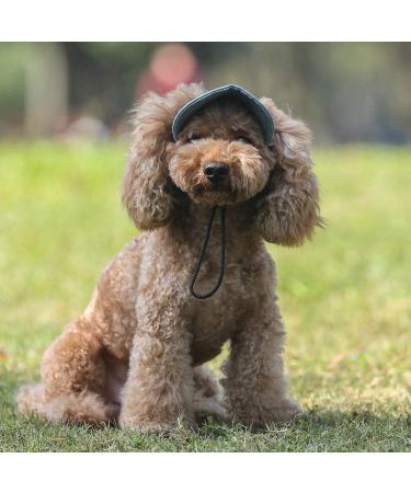 BT BEAR Hundege Baseball Cap for Dogs - Adjustable Summer Hat with Ear Holes for Small & Medium Pets (Size M Light Blue) - Perfect for Travel & Sports - Buy Online on GoSupps.com