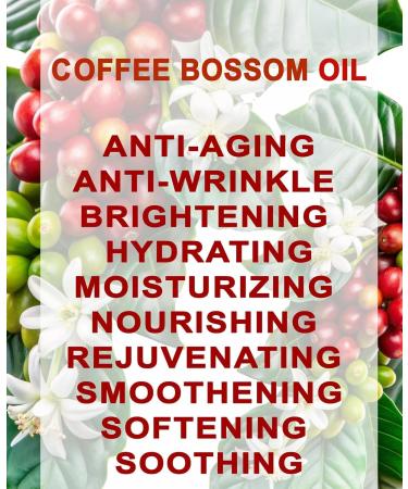 Botanical Beauty Coffee Blossom Oil 100% Natural 1 Fl.oz.- 30 ml. Coffee Essential Oil for FACE Skin Body Hair Nails Beauty Skin Moisturizer Oil Nourishing Perfume Making Soap Making - Buy Online on GoSupps.com