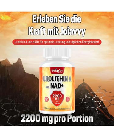 Joiavvy Urolithin A Softgels 2000mg Pure Urolithin A with 200mg NAD+ 2 in 1 High Power Supplement Natural Ingredients - Buy Online on GoSupps.com