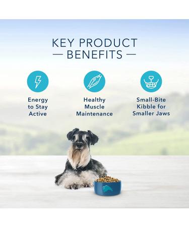 Blue Buffalo Dog Food 5 lb - Premium Quality Nutrition for Dogs - Buy Online on GoSupps.com