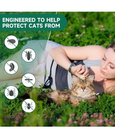 Cat Repellent Treatment Adjustable Cat Repellent Collars Natural Protection Repellent Collar for Cats Water Resistant Repellent Collar for Cats Small-Medium-Large Orange 2pack - Buy Online on GoSupps.com
