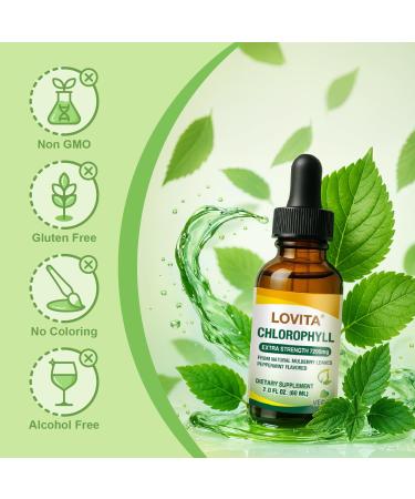 LOVITA Chlorophyll Liquid Drops High Potency 120 mg/mL 7 200 mg per Bottle Natural Energy Booster & Immune Support Internal Deodorant Skin Health Vegan & Non-GMO Mint Flavor 60 Servings 2 Oz New Package 2 Fl Oz (Pac  - Buy Online on GoSupps.com