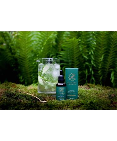 Gallybird Stevia Drops 50ml - Calorie-Free Sugar Alternative - Buy Online on GoSupps.com