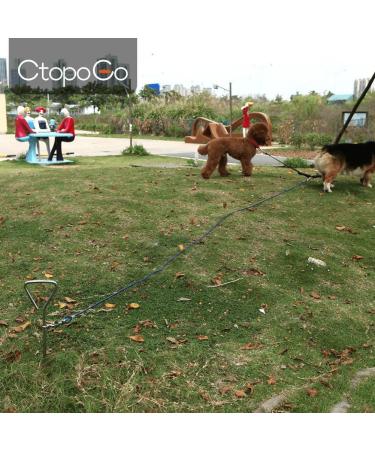 CTOPOGO Integespirale Dog Leash - Durable Hofleine with Stainless Steel Hooks for Small & Medium Dogs - Perfect for Outdoor Courtyard & Camping (10m Blue) - Buy Online on GoSupps.com