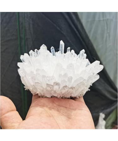 Natural Crystal Rough Natural Crystals Clear Quartz Cluster Freeform Reiki Stones Room Home Office Aquarium Decoration Accessories Gemstone Decoration (Size : 400-500g) - Buy Online on GoSupps.com