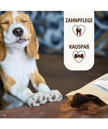 Petlove Pig Ears for Dogs - 100% Natural Low-Fat Protein-Rich Dental Snack (300g) - Grain-Free Kausnack - Buy Online on GoSupps.com