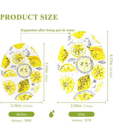 3-Pack Cleaning Kitchen Sponges Oval Summer Fruit Lemon Kitchen Cellulose Dishwashing Wood Pulp Cotton - Buy Online on GoSupps.com
