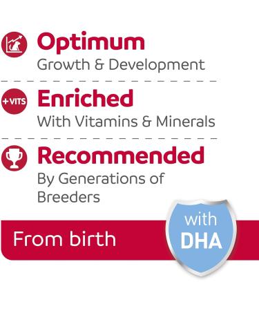 Beaphar | Lactol Puppy Milk Replacer | Complete Nutritious Feed for Newborn Weaning & Hand Rearing Puppies | Includes DHA | Enriched with Vitamins & Minerals | 2kg Milk 2 kg (Pack of 1) - Buy Online on GoSupps.com