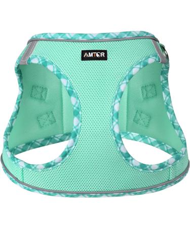 AMTOR Reflective Dog Harness & Leash Set for Small Dogs/Cats - Adjustable & No Pull - Chest Size 13.5-16.0 - Light Green - Buy Online on GoSupps.com