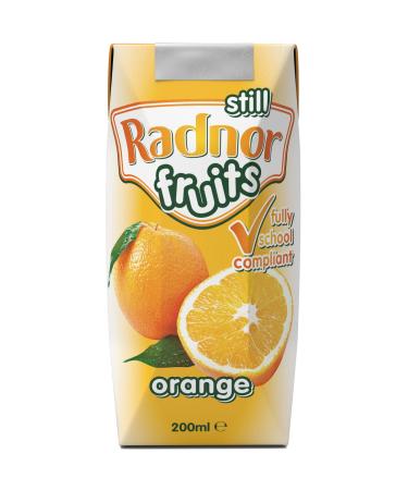 Radnor Hills Fruits Orange Fruits Cartons 24x200ml