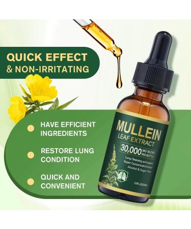 PIRTA Mullein Drops for Lungs Lung Cleanse - Leaf Extract Powerful Mullein for Immune Support Respiratory Support & Lung Cleanse Herbal Supplements - 1.01 fl oz - Buy Online on GoSupps.com