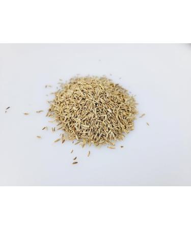 Entirely Ingredients Cumin Seeds 950g - Selected for the Premium Quality - Premium Food Grade - Buy Online on GoSupps.com