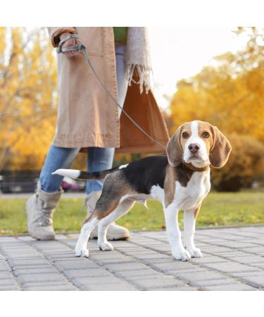 Loutep Reflective Dog Training Leash - 5m Extra Long Nylon Rope with Padded Handle for Small Medium & Large Dogs | International Shipping - Buy Online on GoSupps.com