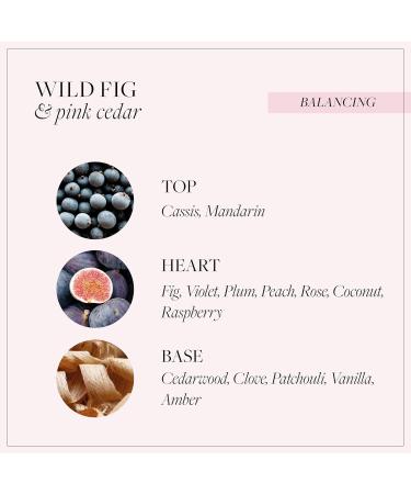 Grace Cole Wild Fig & Pink Cedar Care Duo 2x300ml - Essential Oils - Vegan - Made In England - Buy Online on GoSupps.com