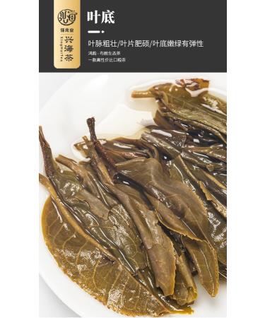 Pu-erh tea 2020 Xinghai Fortune 357g Raw - Buy Online on GoSupps.com