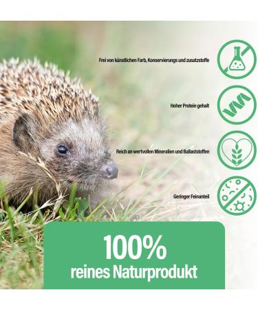 Mersjo Dried Mealworms 1kg - Premium Natural Bird Feed & Fish Food | High Protein Omega-3 Odorless | Ideal for Wild Birds Year-Round - Buy Online on GoSupps.com