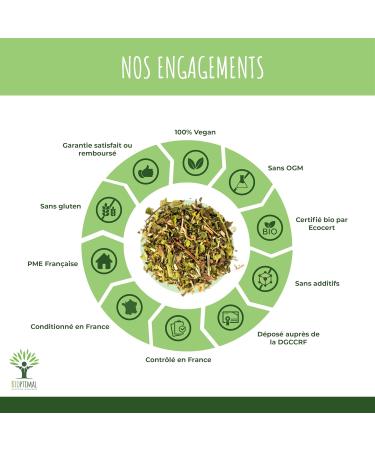 Th Ministur Bio - Infusion Perte de Poids | Th Vert Mat Gingembre Ortie - cocert - 70g - Amincissant & D tox - Livraison Internationale - Buy Online on GoSupps.com