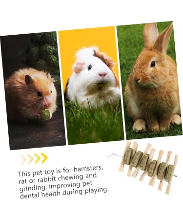 BUGUUYO Pet Chewing Playthings Oral Chew Wooden Rabbit Chew Snack Guinea Pig Chew Snack - Buy Online on GoSupps.com
